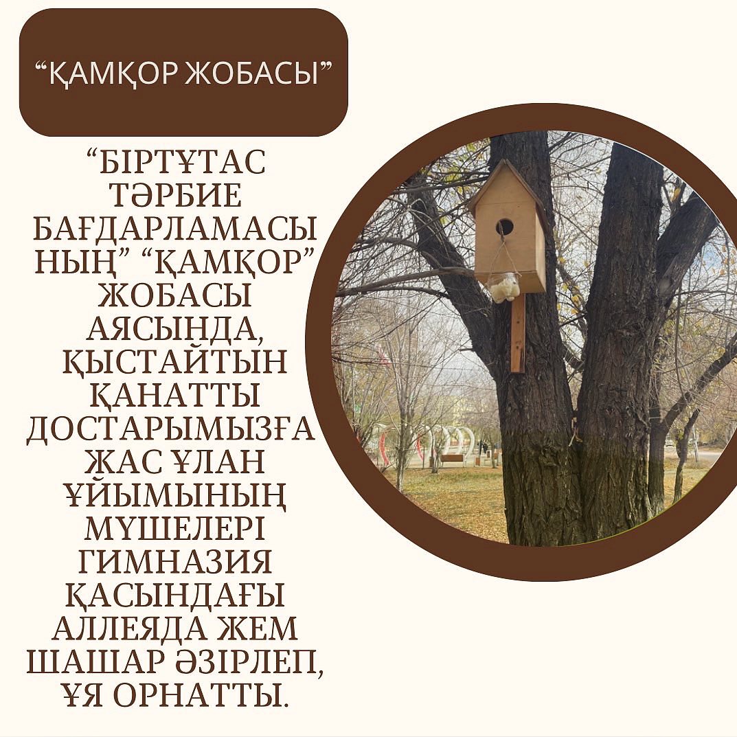 “Біртұтас тәрбие бағдарламасының” “Қамқор” жобасы аясында, қыстайтын қанатты достарымызға Жас ұлан ұйымының мүшелері гимназия қасындағы аллеяда жем шашар әзірлеп, ұя орнатты. #біртұтас_тәрбие_абай_облысы_семей #апқо_абай_облысы_семей