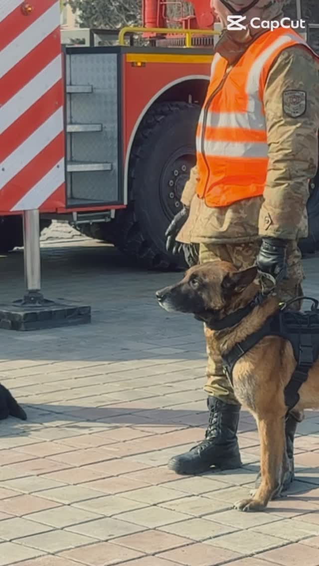 27 ақпан күні гимназиямыздың 10-11 сынып оқушылары Орталық алаңда өткен “Төтенше жағдай құрал-жабдықтарымен танысу” көрмесін тамашалады.